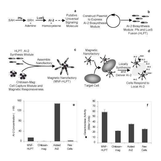 Enhanced Nanofactory Using Fusion Protein