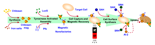 Nanofactory Scematic