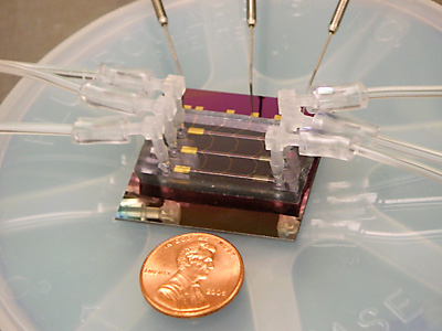 Array of sensors within microfluidic channels