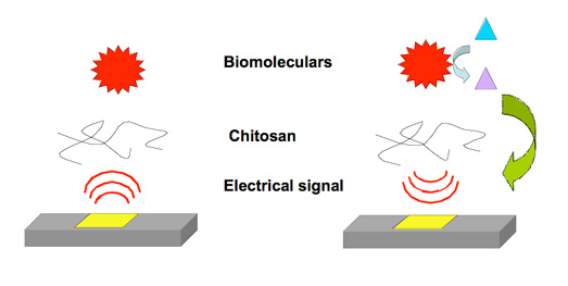 Nanofactory Scematic