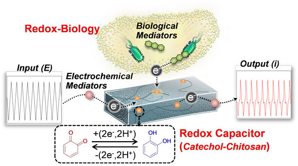 Redox Capacitor Film